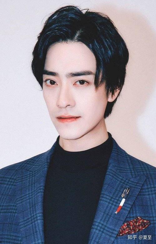 眼睛大的男明星,揭秘眼睛大放异彩的男明星风采